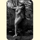 sam8338bw
